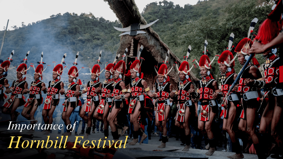 Importance of Hornbill Festival