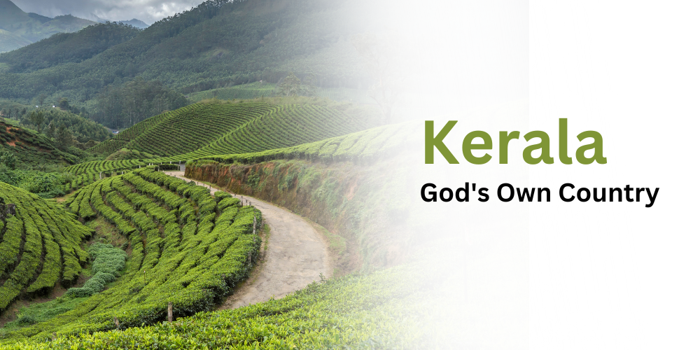 Kerala - God's Own Country