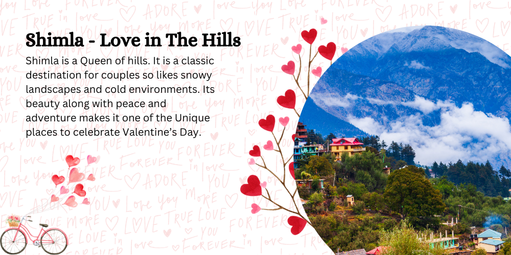 Shimla - Love in The Hills